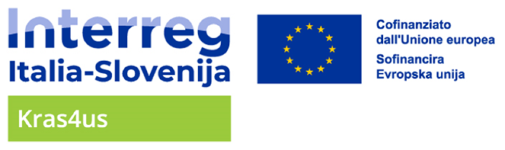 Project logo