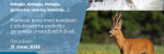 ASISTENT Z DOKTORATOM (»THREE-YEAR TENURE TRACK FACULTY POSITION«)