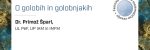 Prvo predavanje FAMNITovih izletov v matematično vesolje 2022/23