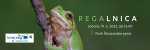 Vabimo vas na 1. REGALNICO – popis zelene rege (Hyla arborea) v Slovenski Istri, Brkinih in na Krasu